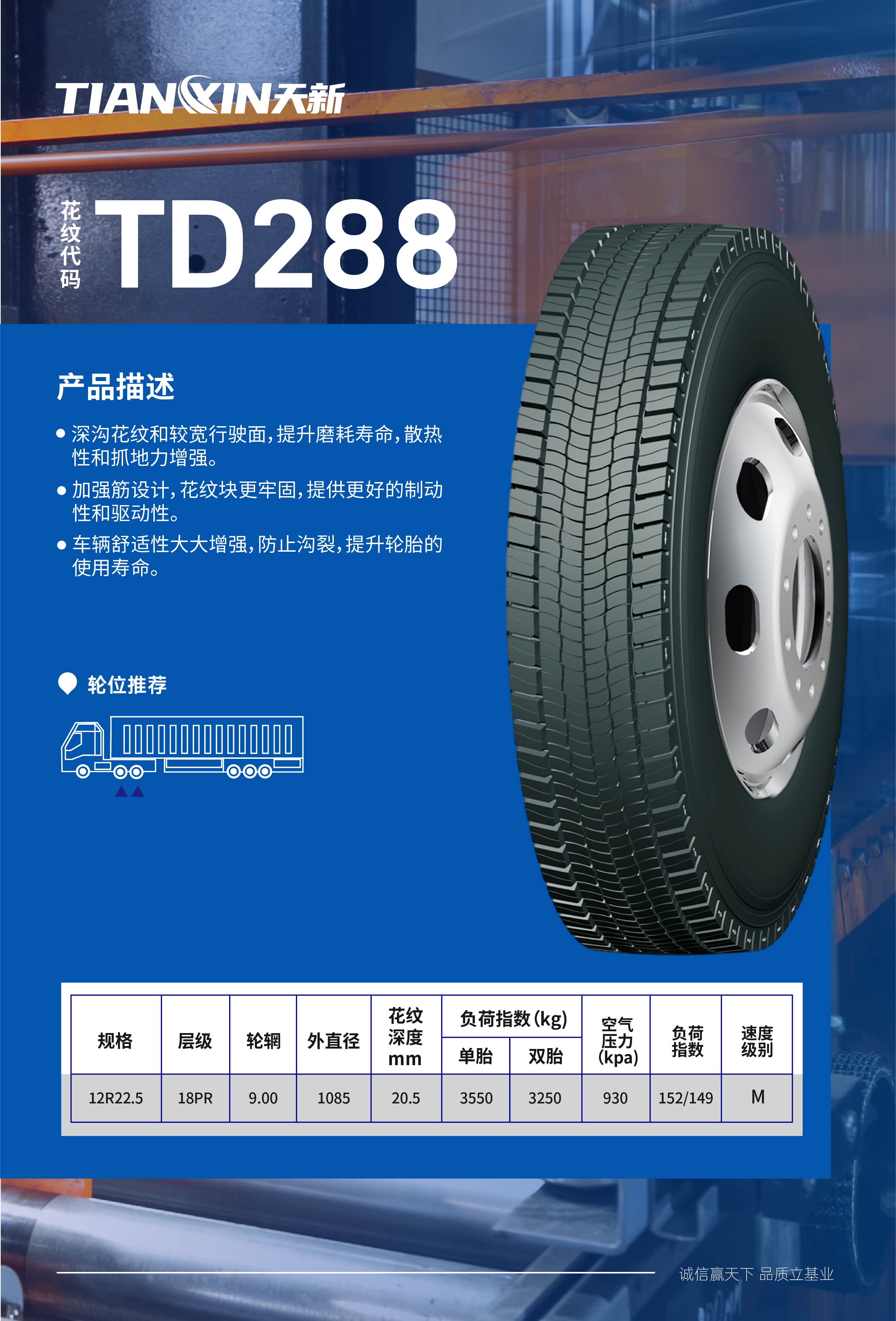 10天新真空胎-08 288